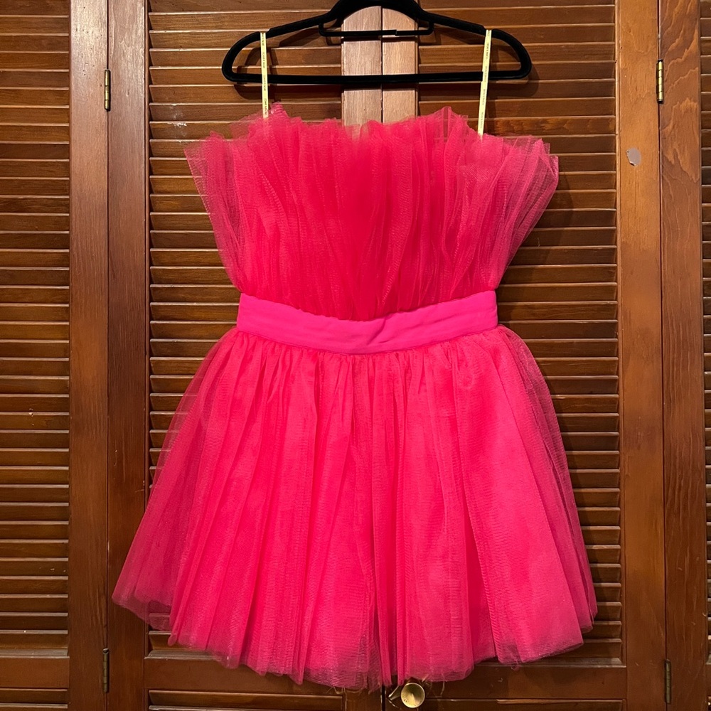 Bronx & Banco Hot Pink Tule Dress.